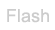 Go To Flash Version of Site